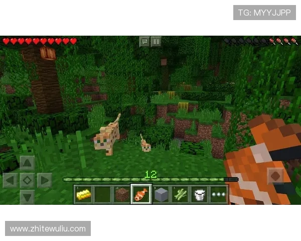 探索88娛樂网页版丰富的游戏种类让你轻松享受高品质线上娱乐体验 探索88娛樂网页版丰富的游戏种类让你轻松享受高品质线上娱乐体验