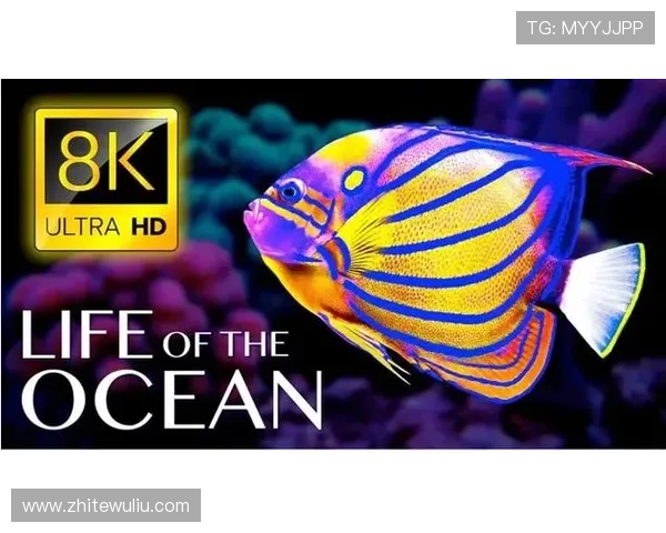 海洋之神正规网址查询指南,帮助玩家快速找到官方安全登录入口与游戏攻略 海洋之神正规网址查询指南,帮助玩家快速找到官方安全登录入口与游戏攻略