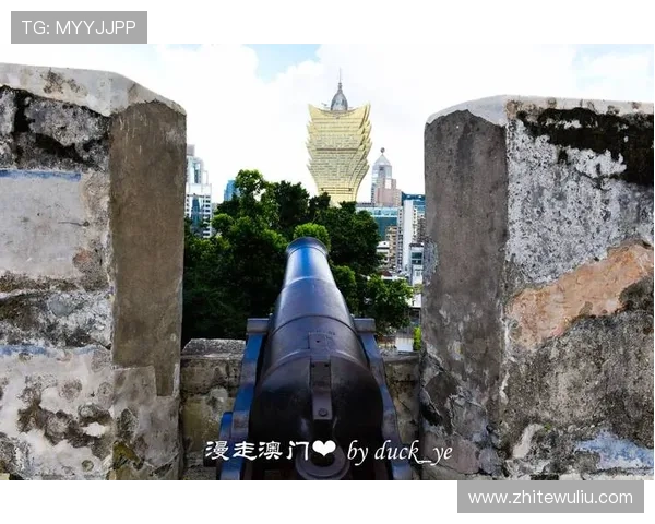 澳门娱乐场玩法全面解析，助你轻松掌握各种经典游戏技巧与玩法策略