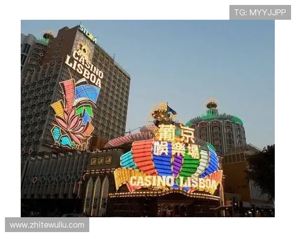澳门的赌场有几家:全面解析澳门主要赌场的数量及其规模特点 澳门的赌场有几家:全面解析澳门主要赌场的数量及其规模特点