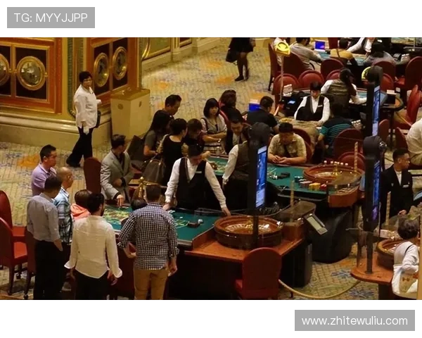 澳门赌场一共有多少家：澳门合法经营赌场的数量变化及其对旅游业的推动作用