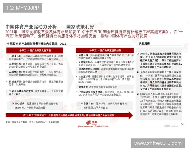 美高梅平台优惠活动与奖励机制全面介绍提升玩家获利机会